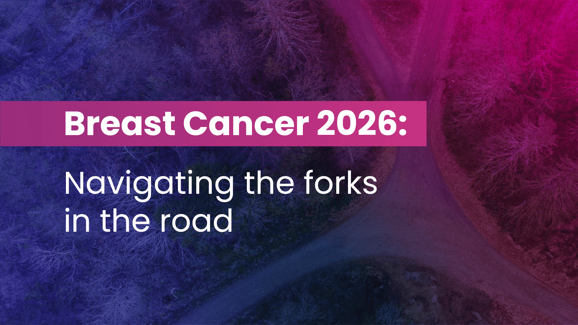 Breast Cancer 2026: Navigating the forks in the road